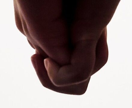 2023 11 Photo 5